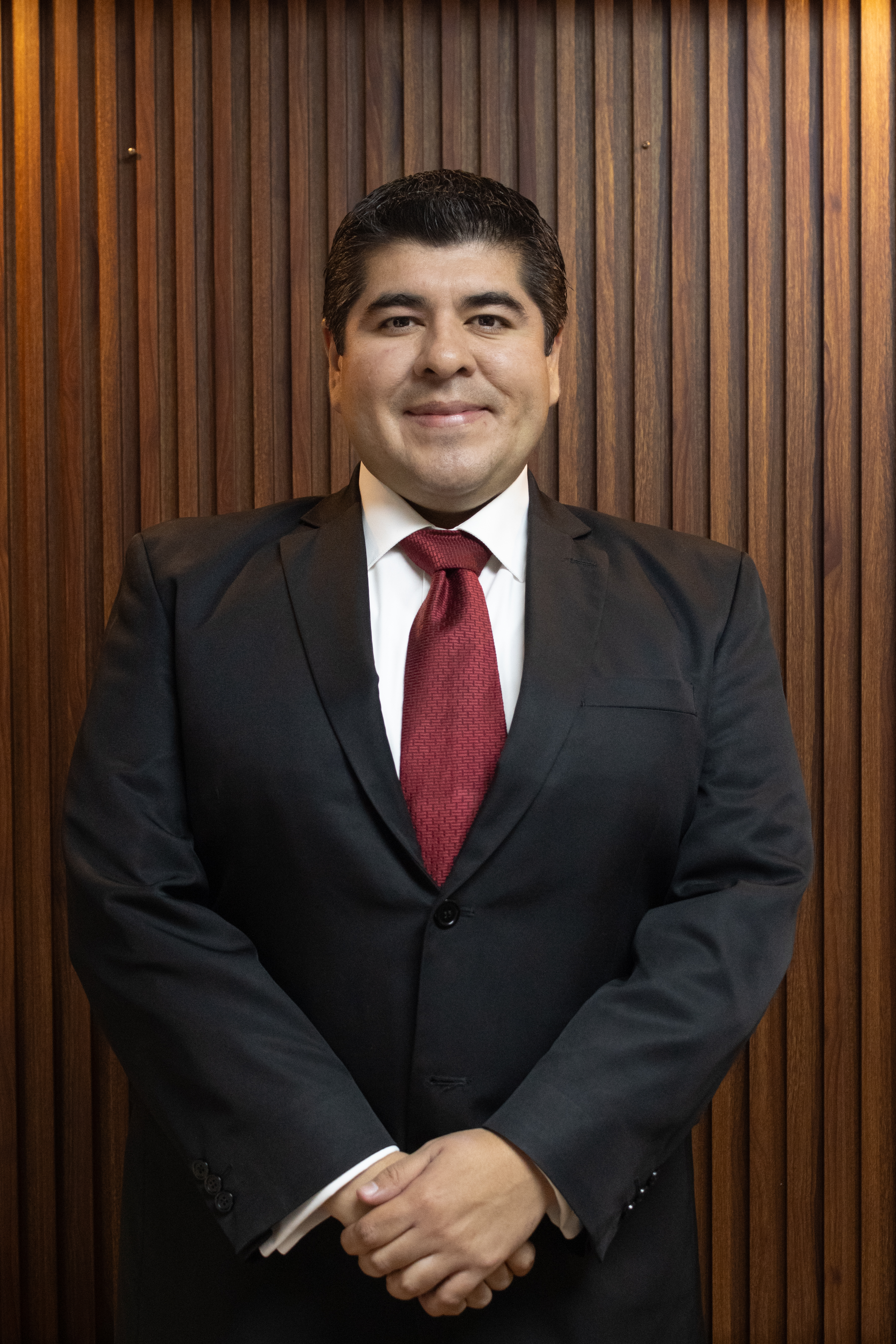 José Luis Veloz Hernández - Proyectista